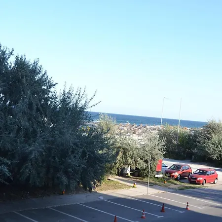 Fancy * Mamaia